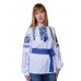 Embroidered blouse "Petrykivka Blue"